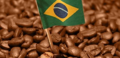 Independência do Brasil e o Café