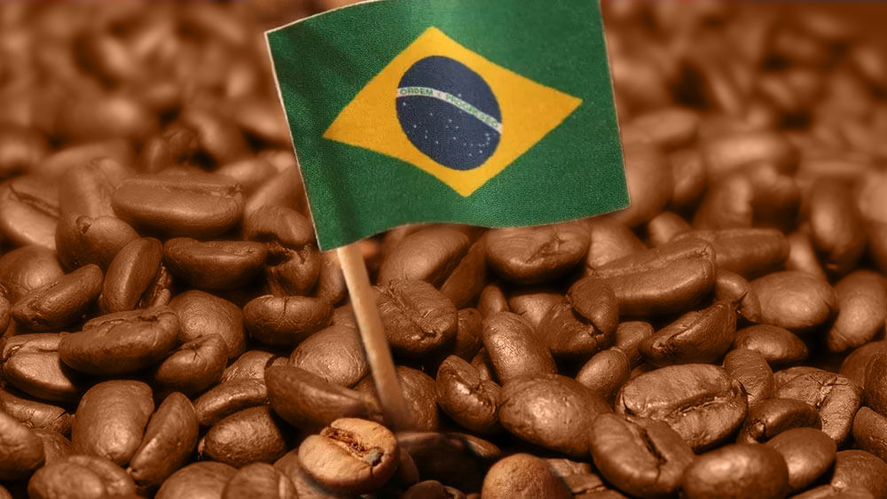 Independência do Brasil e o Café